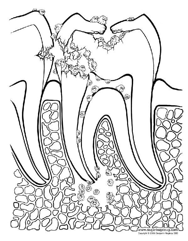 Dental Coloring Pages Printable
 18 best images about Dental Coloring Pages on Pinterest