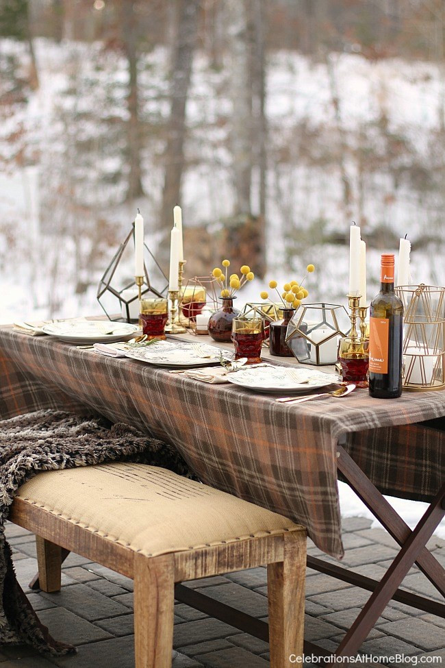 Dinner Party Ideas Winter
 Winter Dinner Party "snowed in" Celebrations at Home
