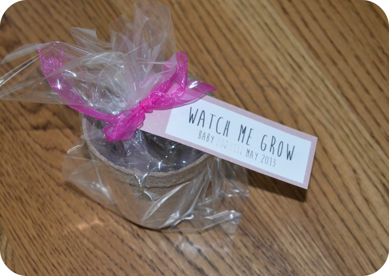 DIY Baby Shower Favors For Girl
 Stay Blonde DIY Baby Shower Party Favors on a Bud