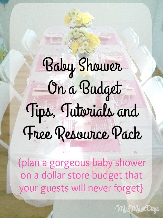 DIY Baby Shower Ideas On A Budget
 Baby Shower on a Bud by Shopping at the Dollar Store