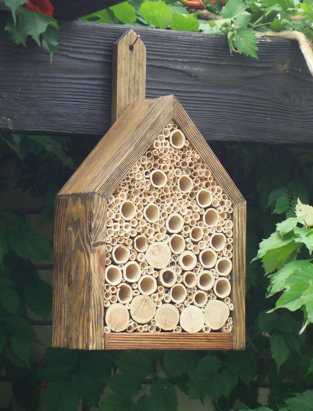 DIY Bee Box
 DIY Tropical Bamboo Crafts That You Should Not Miss
