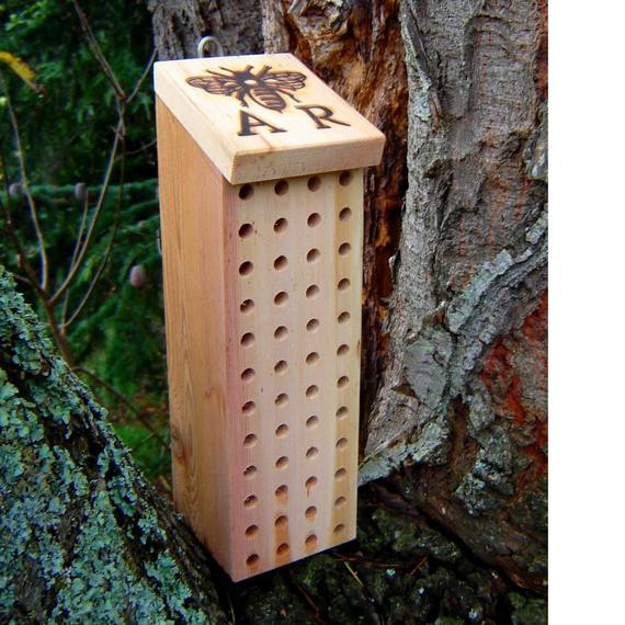 DIY Bee Box
 Mason Bee Box Orchard Bee Nest Box Size 3 FREE by