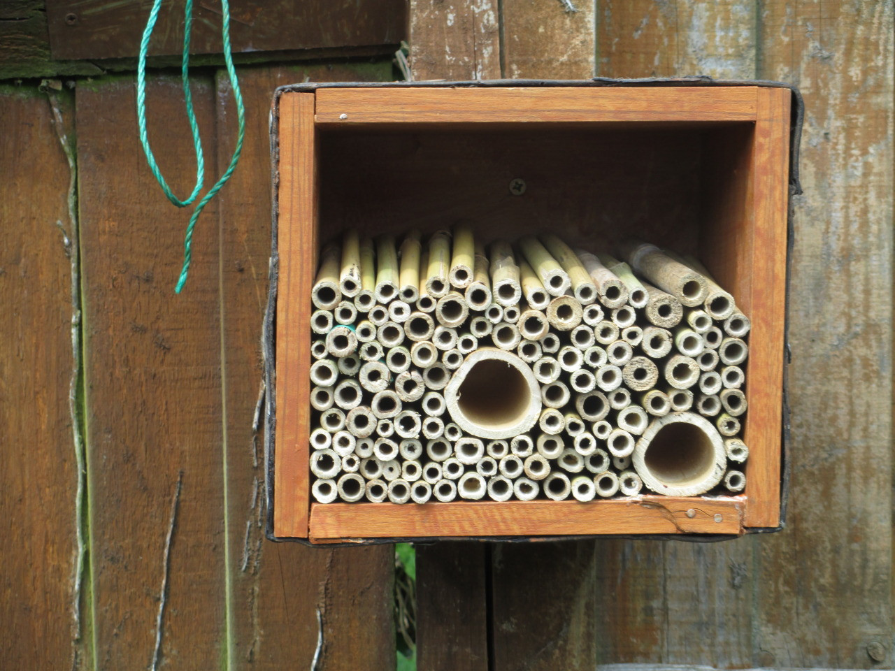 DIY Bee Box
 Silent Spring • diy “bee box“ made by goshawk on DIY