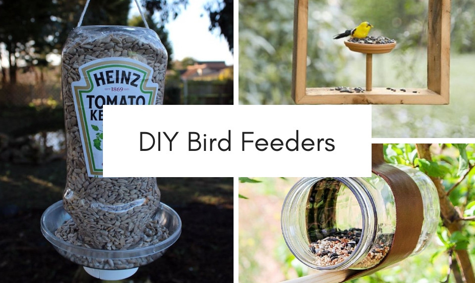 DIY Bird Feeder Plans
 15 Easy Plans For Your DIY Bird Feeders Craftsonfire