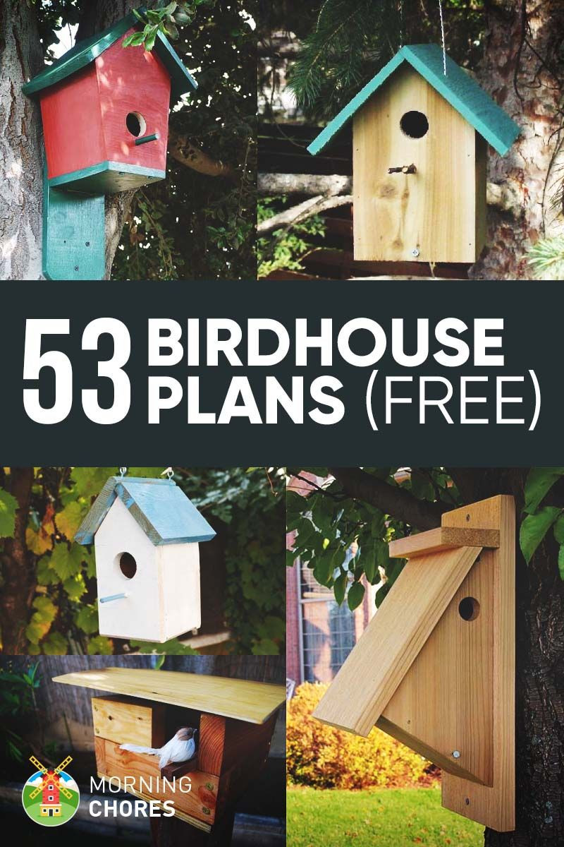 DIY Bird Feeder Plans
 53 Free DIY Bird House & Bird Feeder Plans that Will