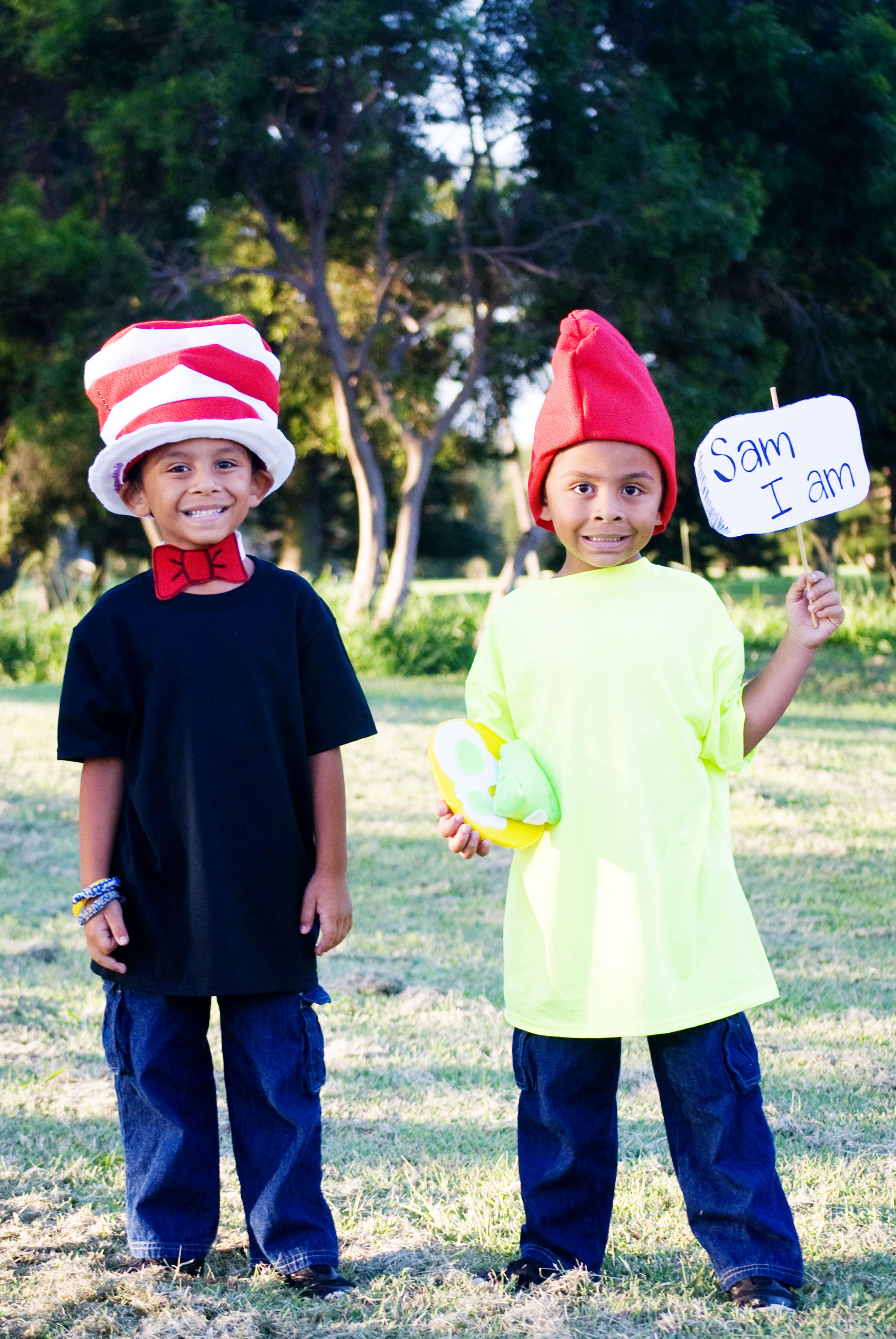 DIY Book Character Costumes
 Book Character Dress Up Day Easy DIY Dr Seuss Cat In