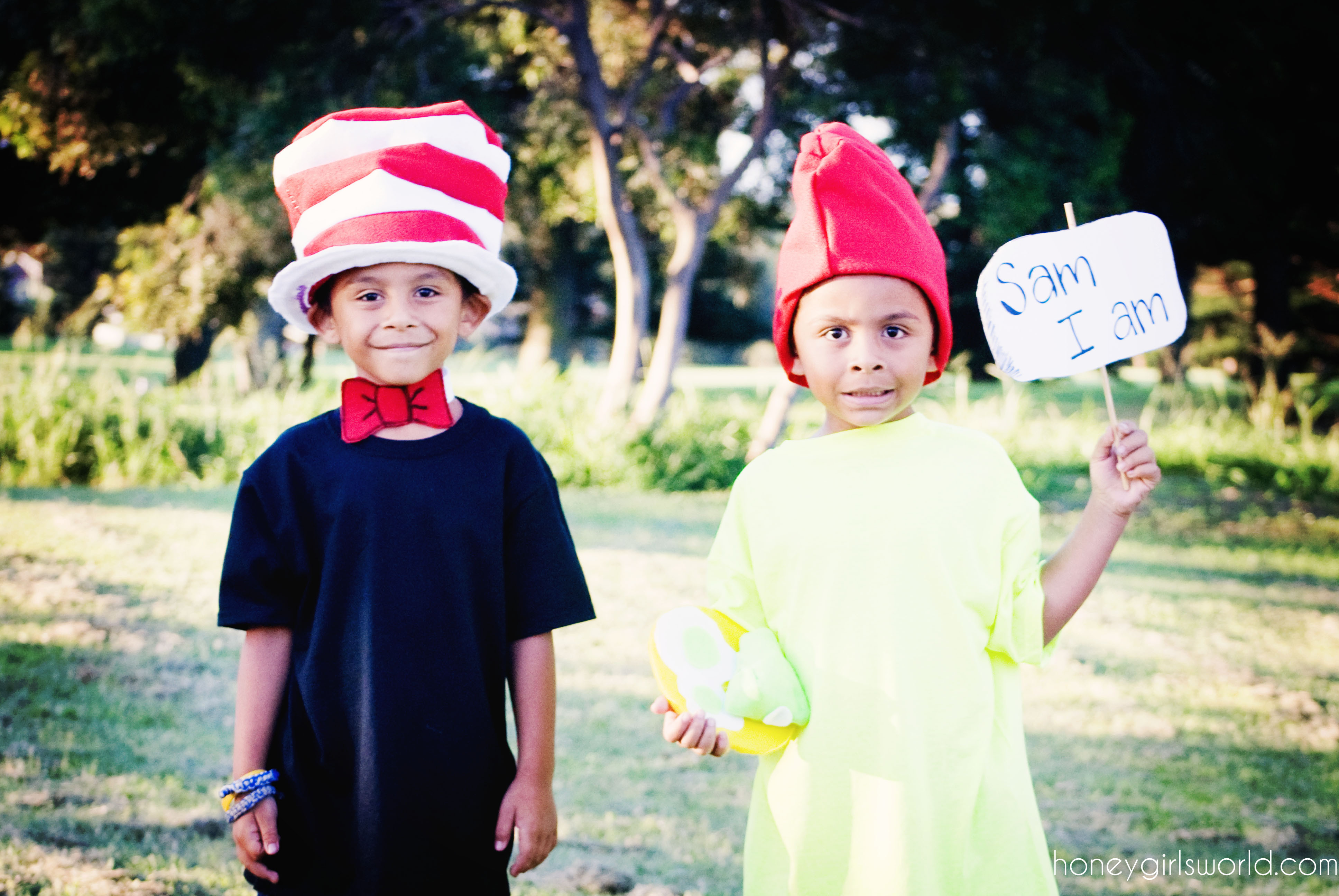 DIY Book Character Costumes
 Book Character Dress Up Day Easy DIY Dr Seuss Cat In