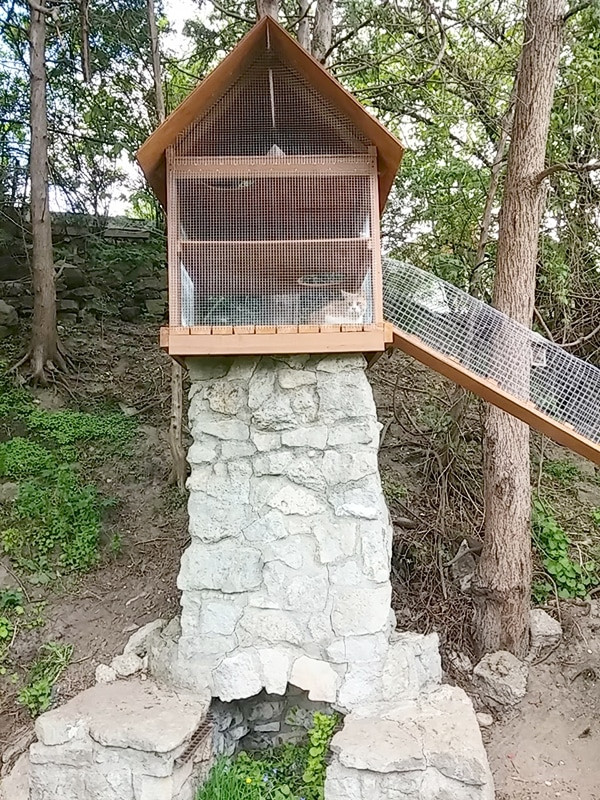 DIY Cat House Outdoor
 Outdoor Cat Jungle Gym