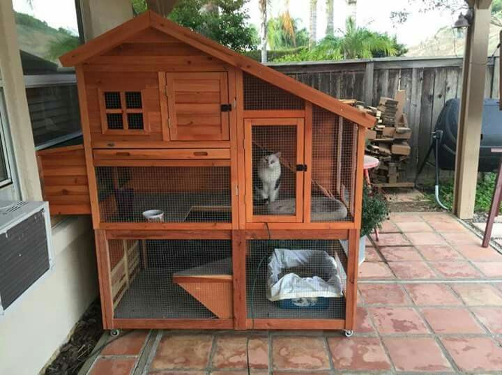 DIY Cat House Outdoor
 10 Best images about DIY Cat Enclosures on Pinterest