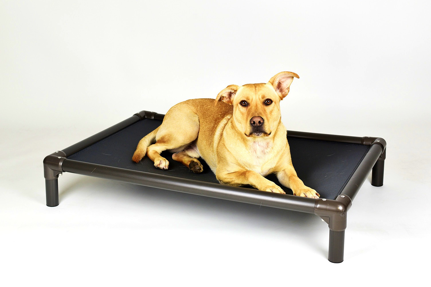 DIY Chew Proof Dog Bed
 Indestructible Dog Beds Chew Proof Ep Diy Dog Bed Dogs Bed