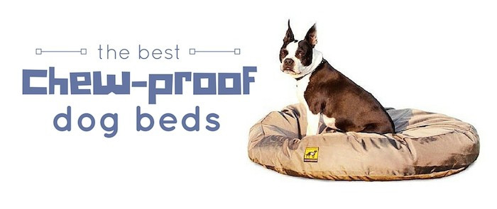 DIY Chew Proof Dog Bed
 4 Best Chew Proof Dog Beds for Rough Chewers