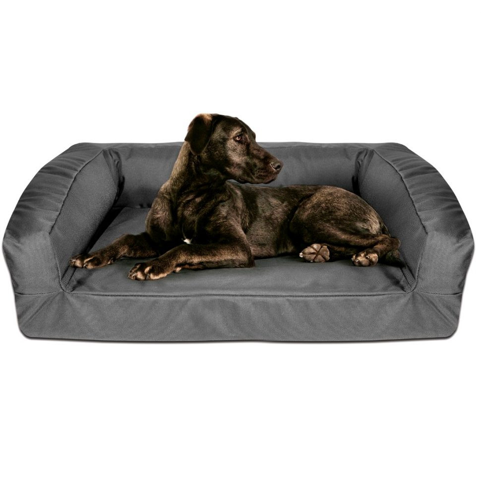 DIY Chew Proof Dog Bed
 Bedroom Fetching Dura Dog Bed Chew Proof Petco Diy Amazon