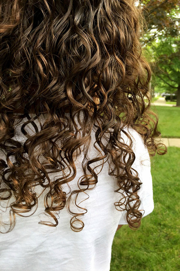 DIY Conditioner For Curly Hair
 Curly Girl DIY Leave In Conditioner