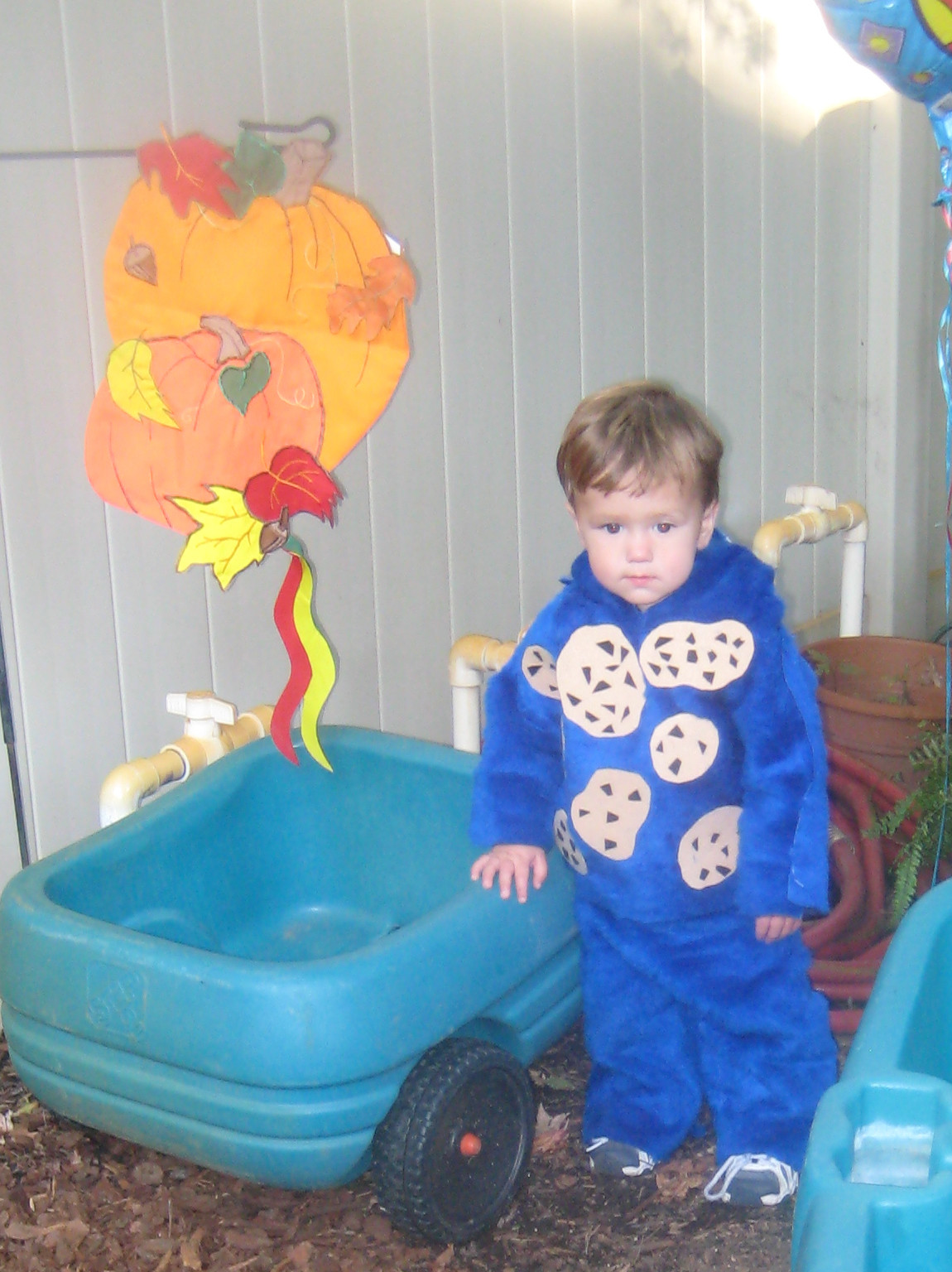 DIY Cookie Monster Costume
 Virginia Beach Housewife DIY No Sew Cookie Monster