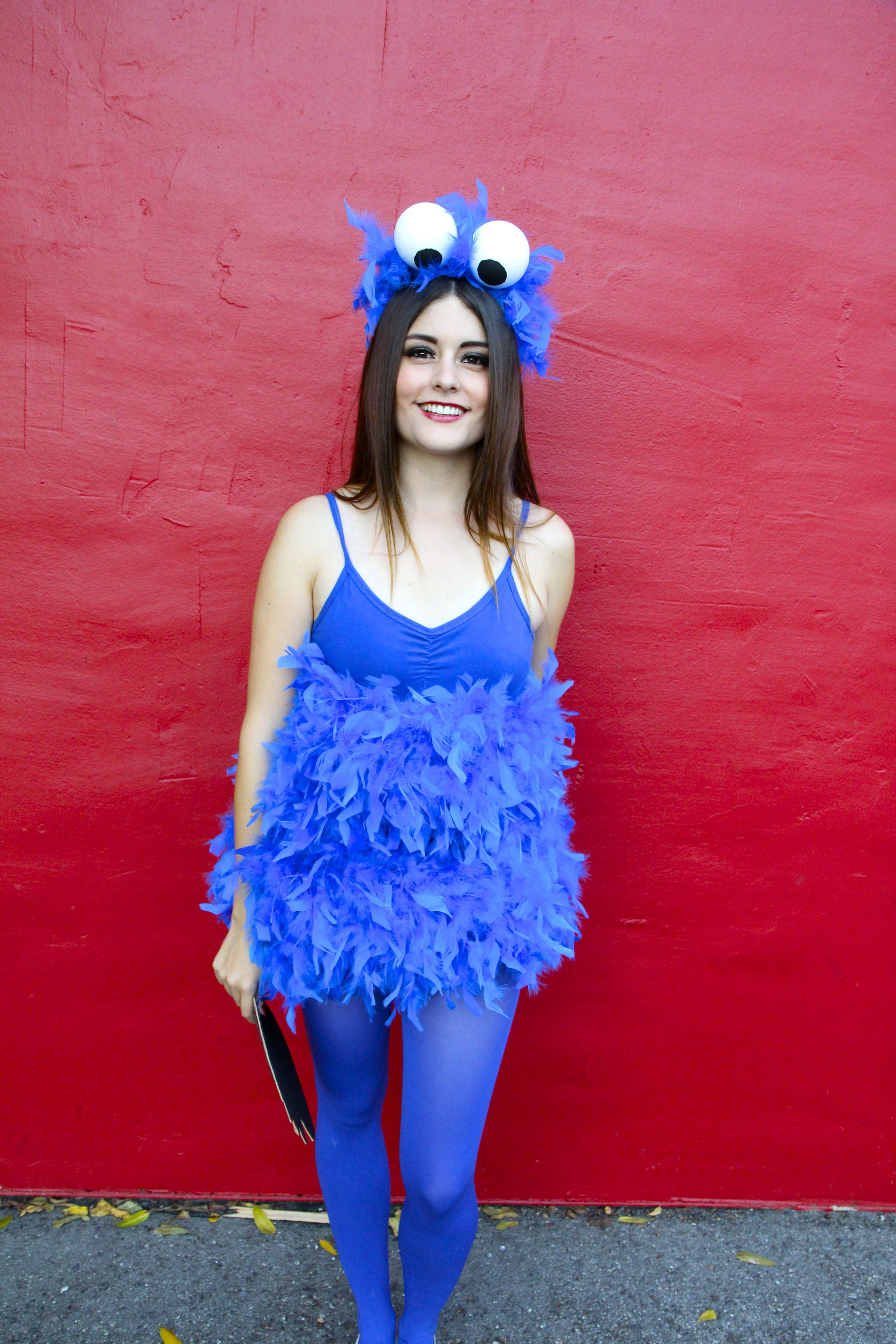 DIY Cookie Monster Costume
 You gotta admit Cookie Monster is probably one of