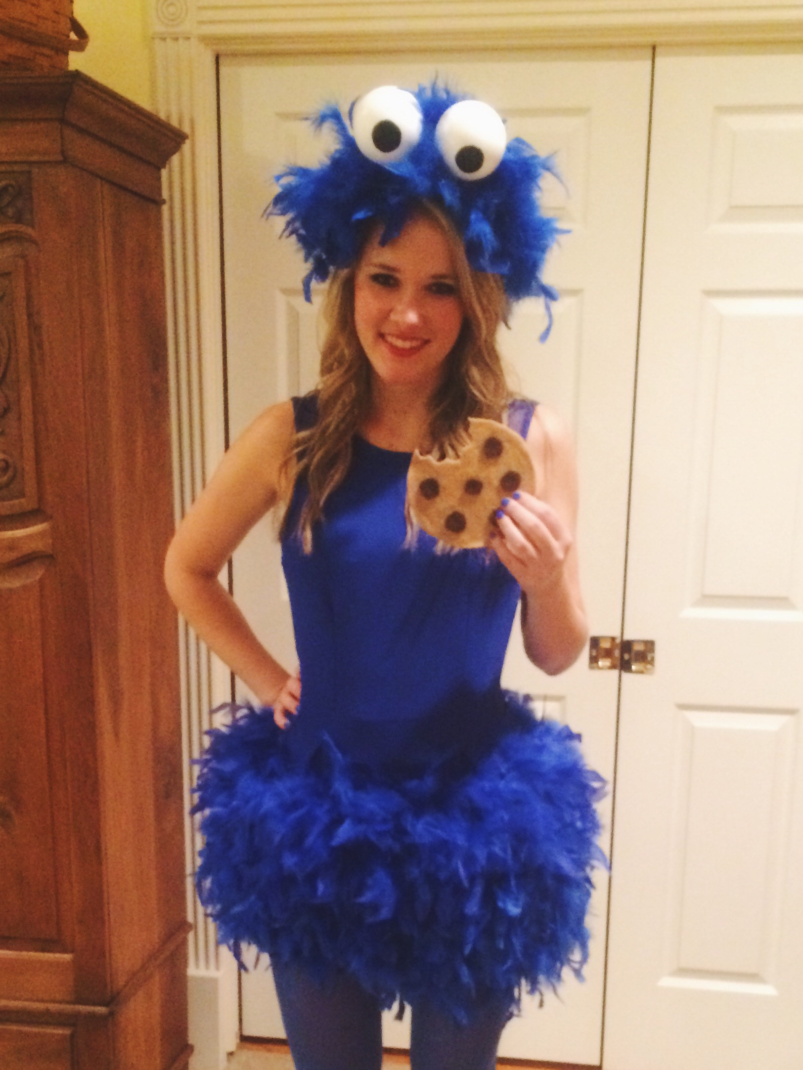 DIY Cookie Monster Costume
 DIY cookie monster costume