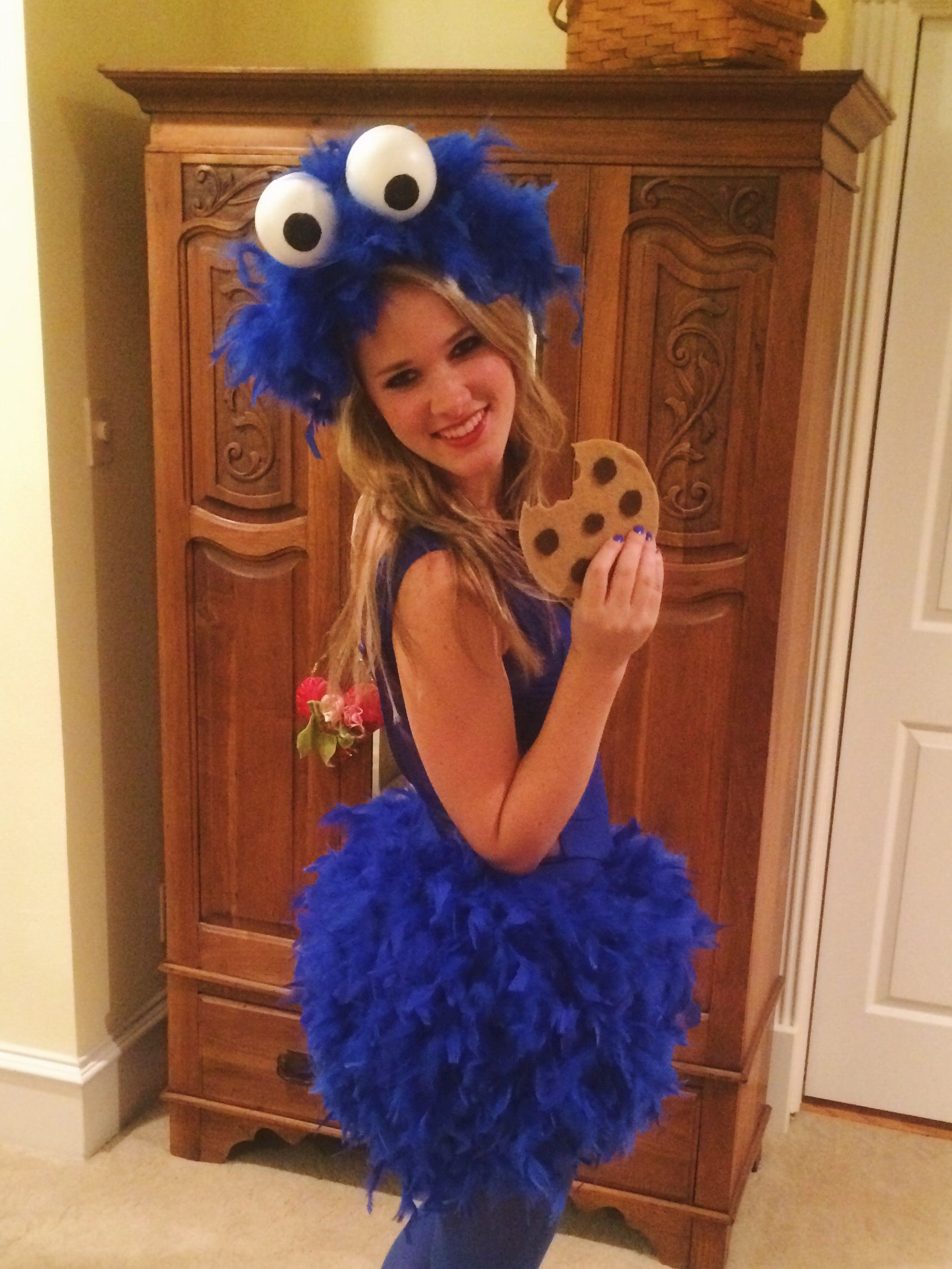DIY Cookie Monster Costume
 DIY Cookie Monster Costume Party ideas