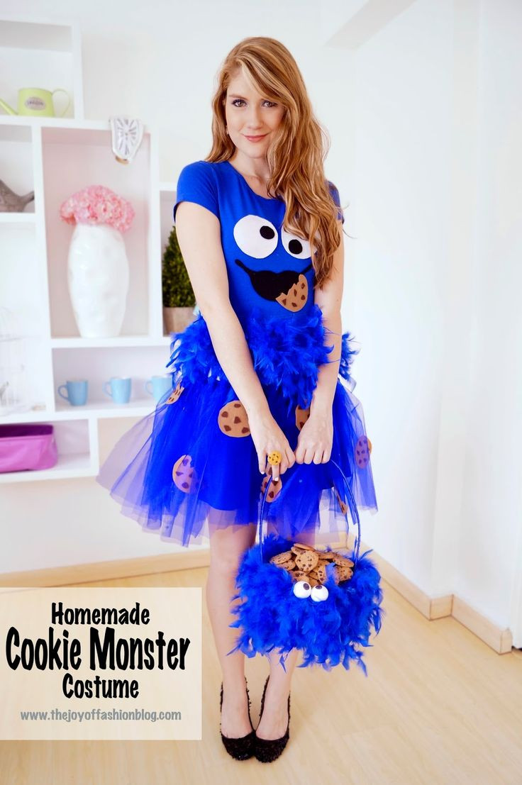 DIY Cookie Monster Costume
 Best 25 Cookie monster costumes ideas on Pinterest