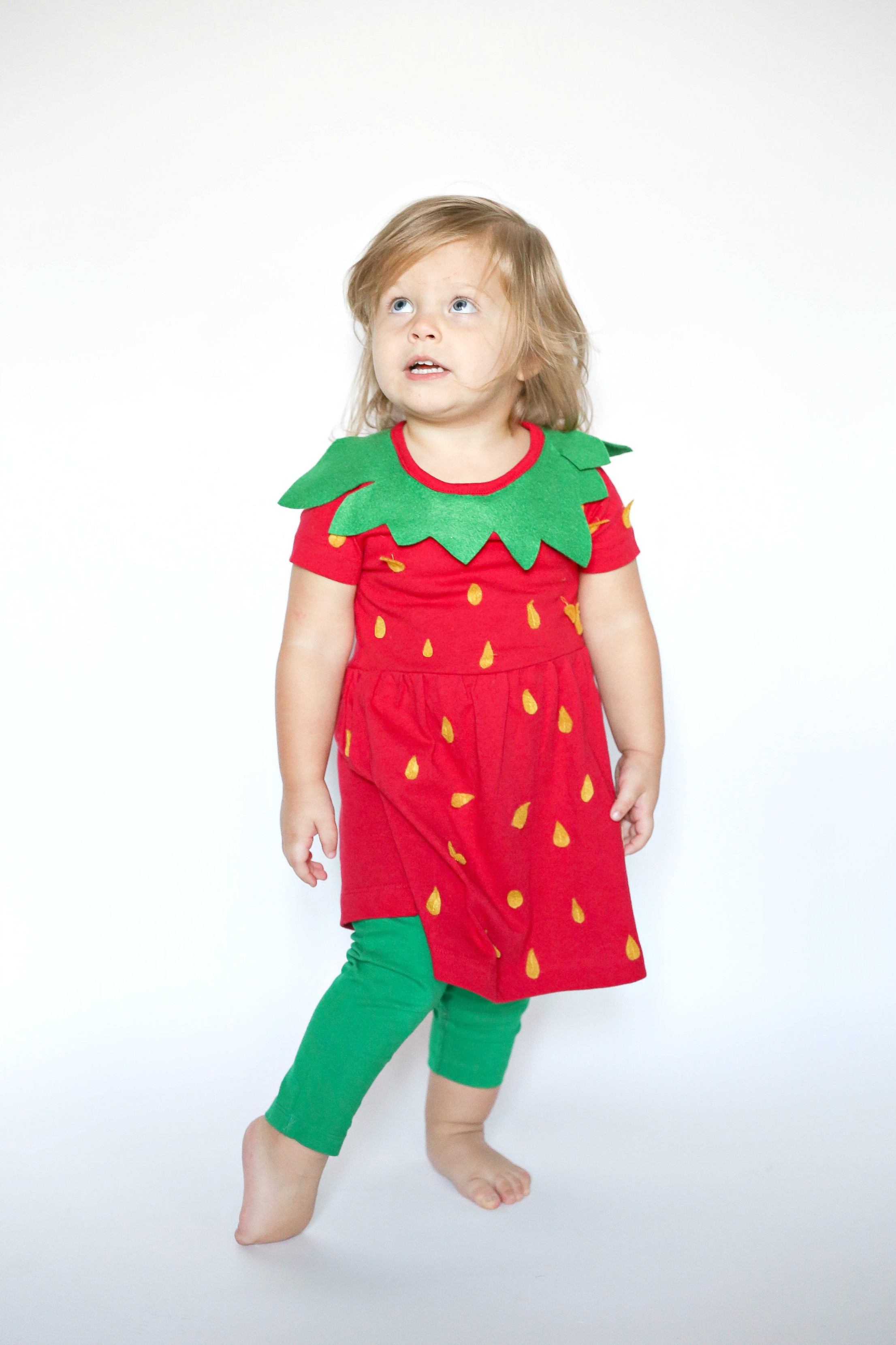 DIY Costumes For Toddlers
 Group Fruit Costume for Kids TaylorMade