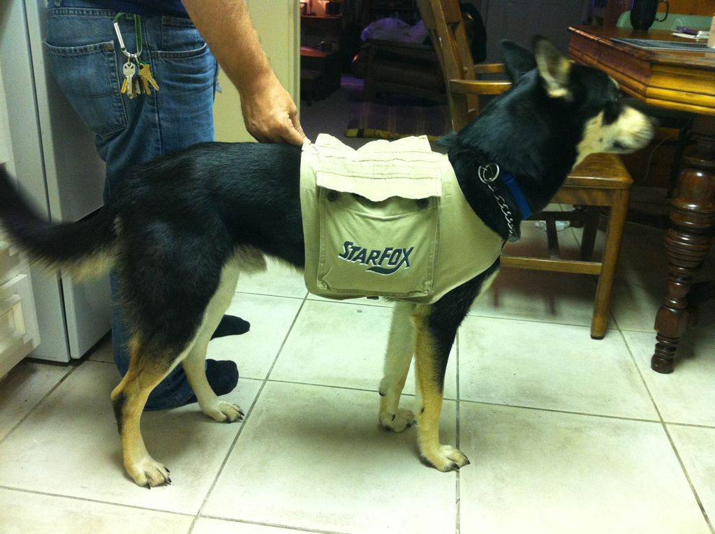DIY Dog Backpack
 Doggy Cooling Vest Backpack from cargo pants