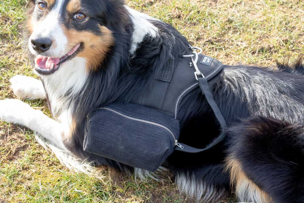 DIY Dog Backpack
 How to Make a DIY Dog Backpack Using a Julius K9 Harness