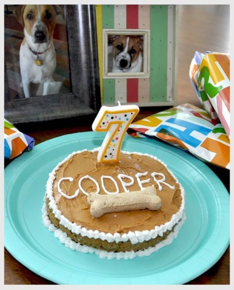 DIY Dog Birthday Cake
 Doggie Birthday Cakes B Lovely Events