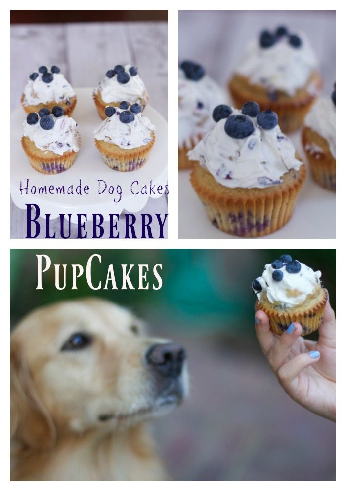 DIY Dog Birthday Cake
 Simple Homemade Dog Cake Recipe Blueberry Pupcakes