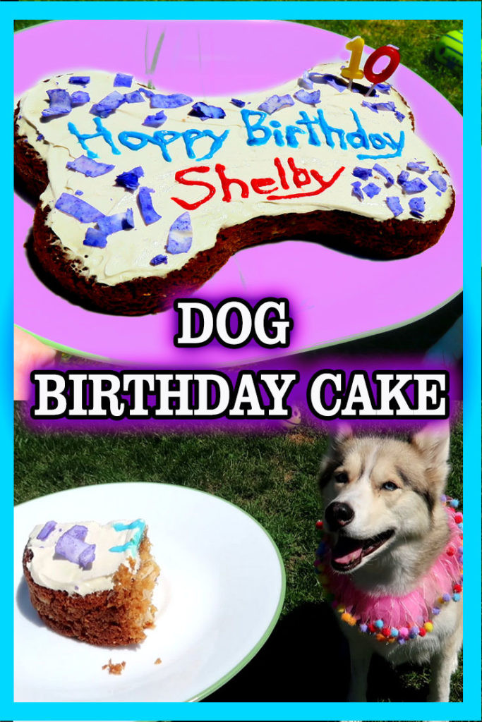 DIY Dog Birthday Cake
 DIY DOG BIRTHDAY CAKE