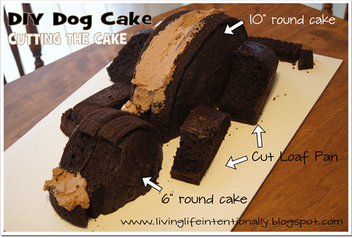 DIY Dog Birthday Cake
 DIY Dog Birthday Cake