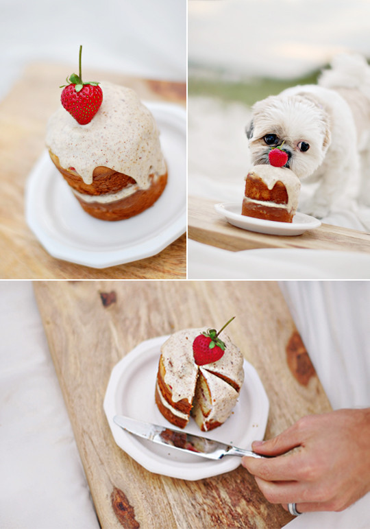 DIY Dog Birthday Cake
 The Best Dog Birthday Cake Recipe Coco’s Birthday