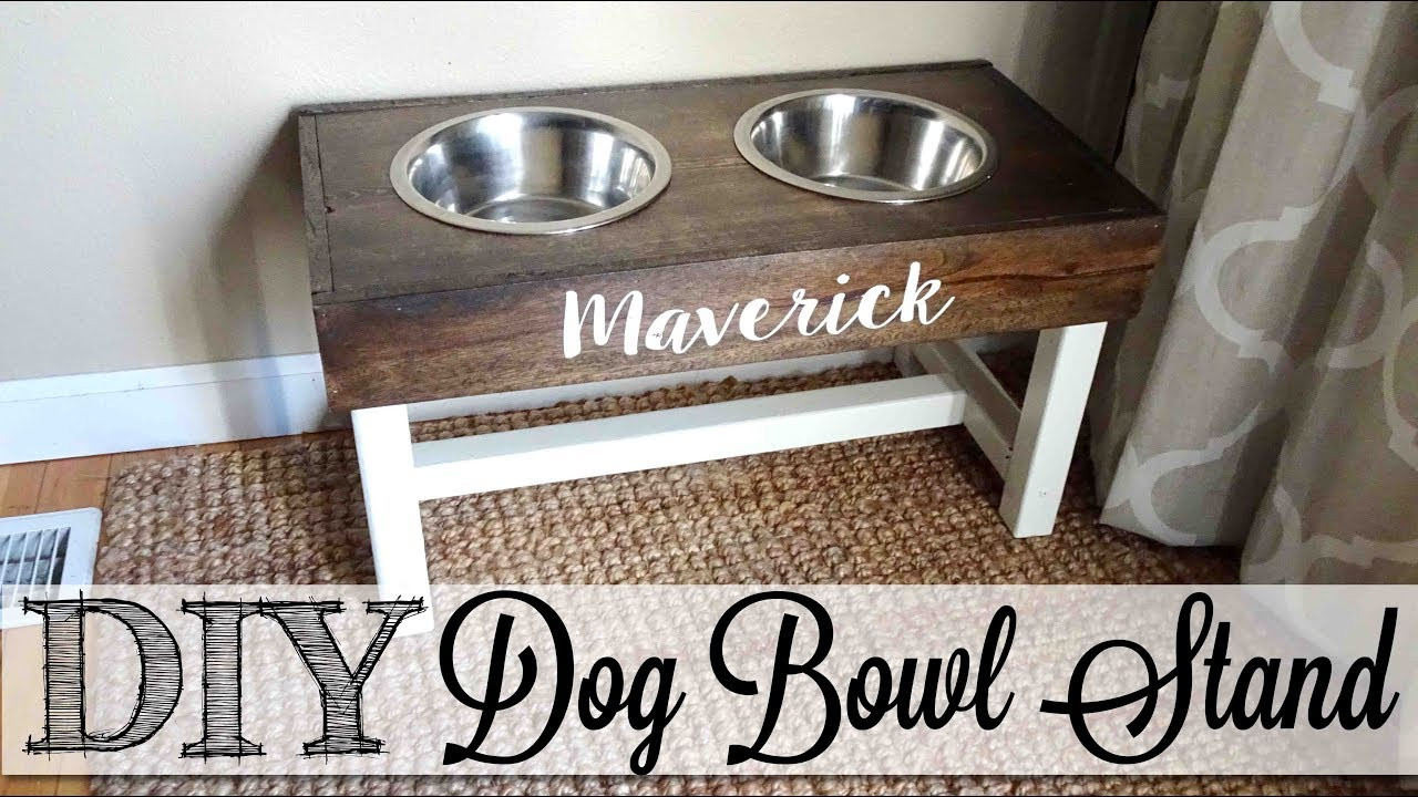 DIY Dog Bowls
 DIY Dog Bowl Stand 🐾