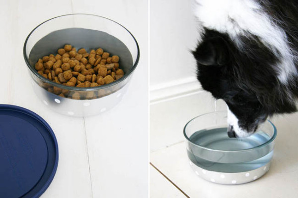 DIY Dog Bowls
 14 DIY Dog Bowl Projects To Spice Up Your Pup s Mealtime