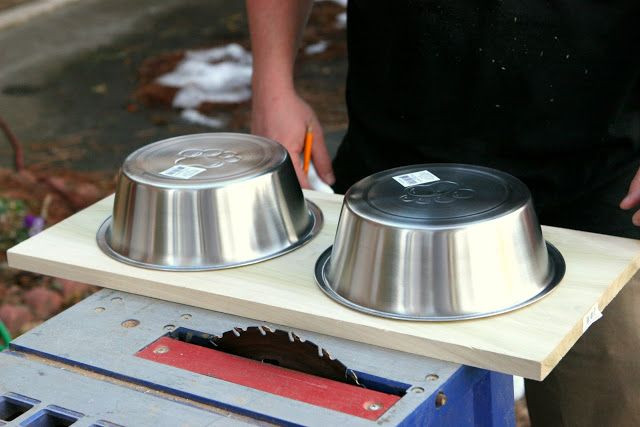 DIY Dog Bowls
 DIY Dog Dish Stand
