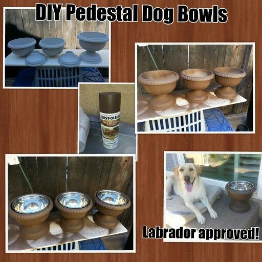 DIY Dog Bowls
 DIY Pedestal Dog Bowls