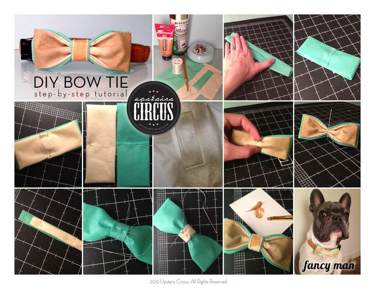 DIY Dog Bows
 DIY dog bow tie for the furries