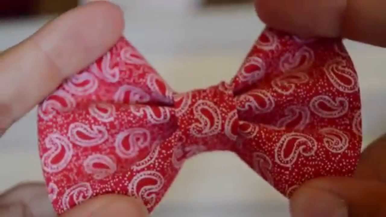 DIY Dog Bows
 12 steps to make a dog bow tie