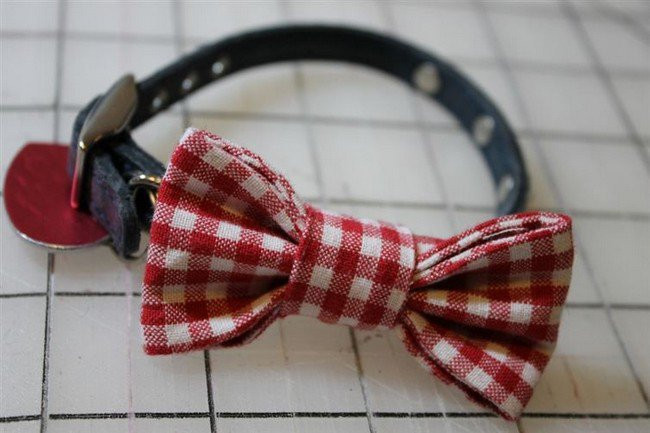 DIY Dog Bows
 16 Awesome DIY Dog Accessory Ideas You And Your Pooch Will