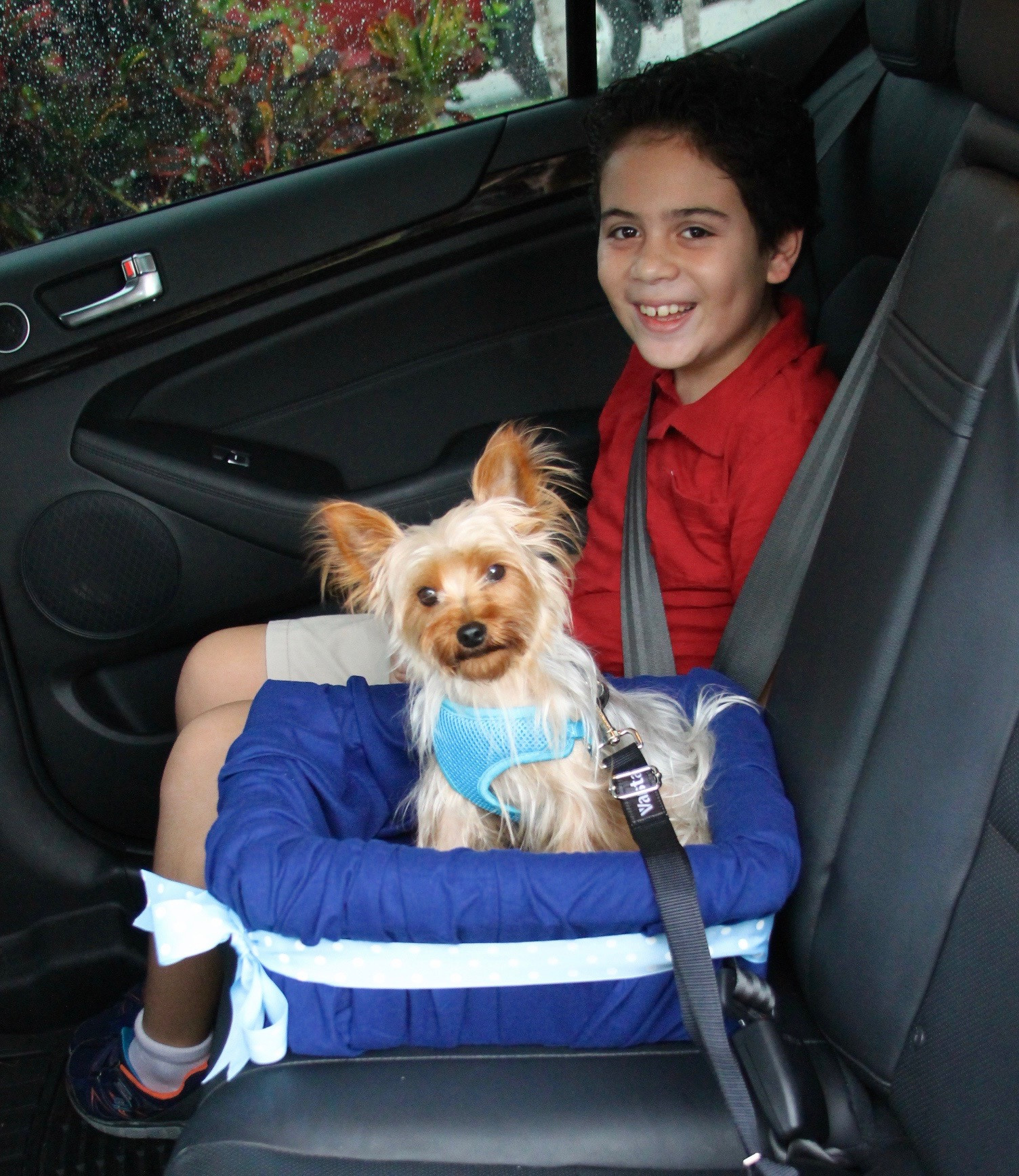 DIY Dog Car Seat
 No Sew DIY Car Booster Seat For Your Dog Growing Up