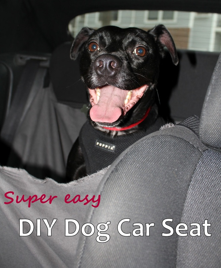DIY Dog Car Seat
 homevolution DIY Dog Car Seat Hammock