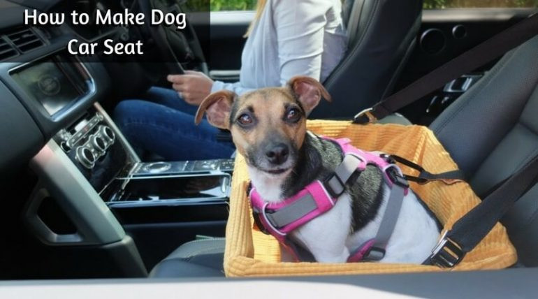 DIY Dog Car Seat
 How to Make Dog Car Seat DIY Safe Car Seat for Your Pooch