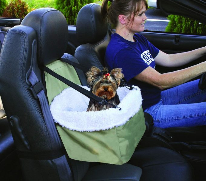 DIY Dog Car Seat
 DIY Dog Car Seat Step by Step Instructions Expert s Advice