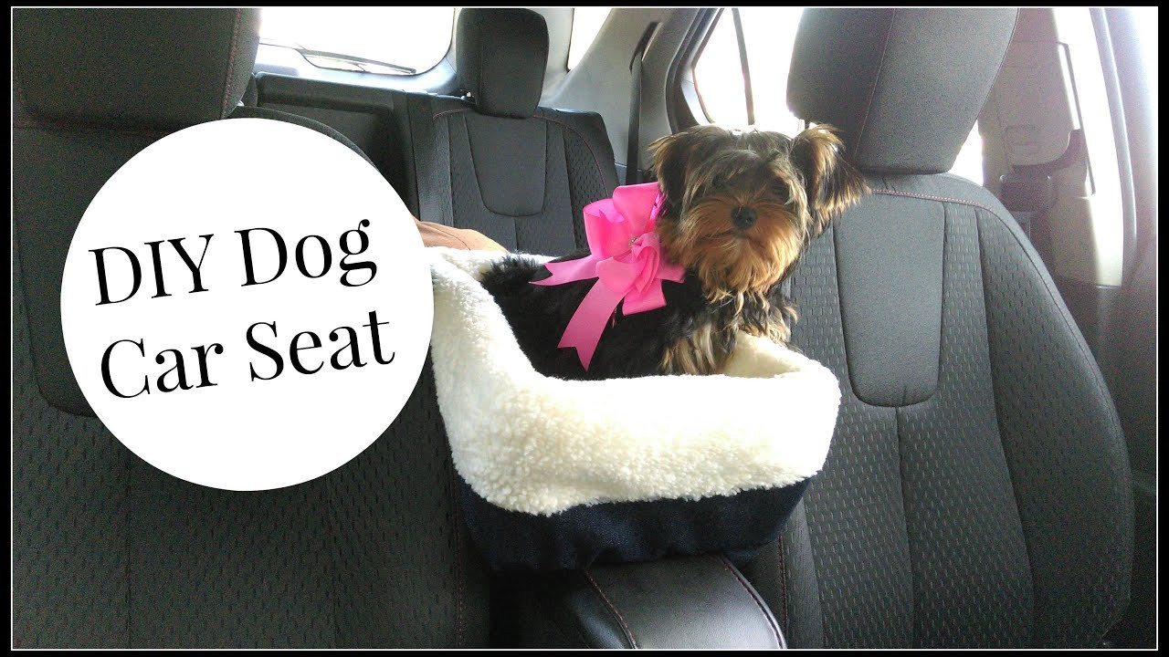 DIY Dog Car Seat
 DIY Dog Car Seat Tutorial