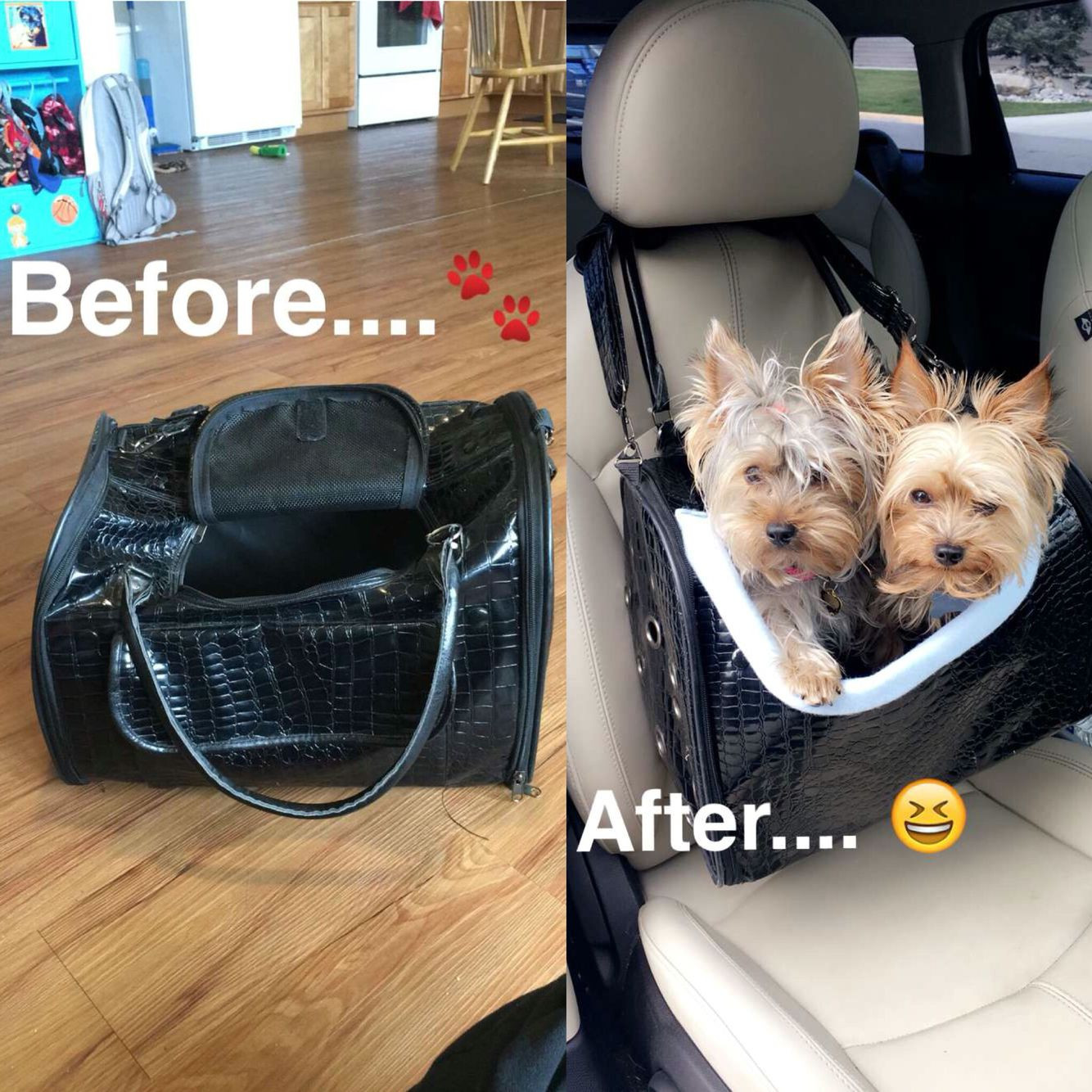 DIY Dog Car Seat
 DIY dog car seat made from an old suitcase I got at