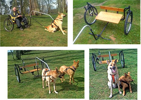 DIY Dog Cart
 53 best images about Dog cart mushing on Pinterest