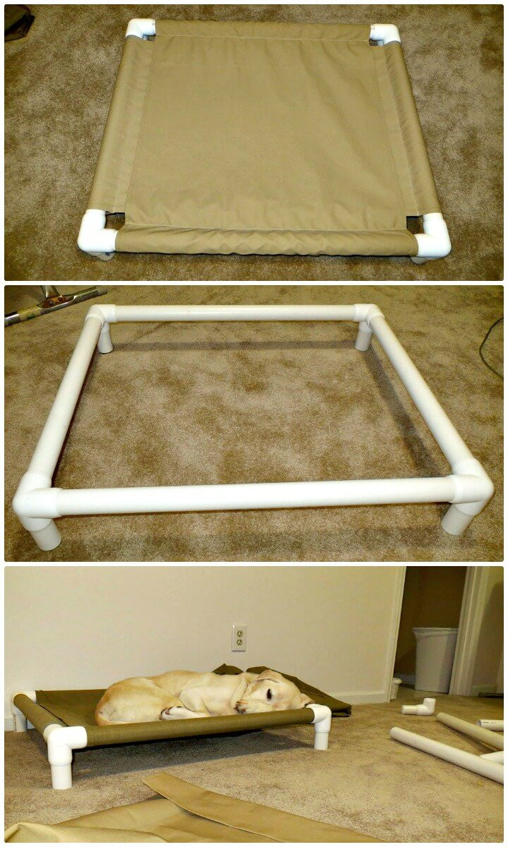 DIY Dog Cot
 9 DIY Dog Bed Ideas Using PVC Pipe DIY Crafts