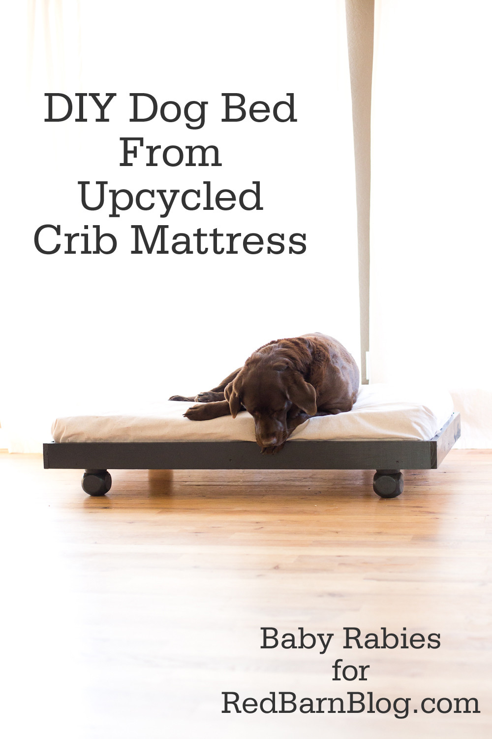 DIY Dog Cot
 DIY Dog Bed from Upcycled Crib Mattress