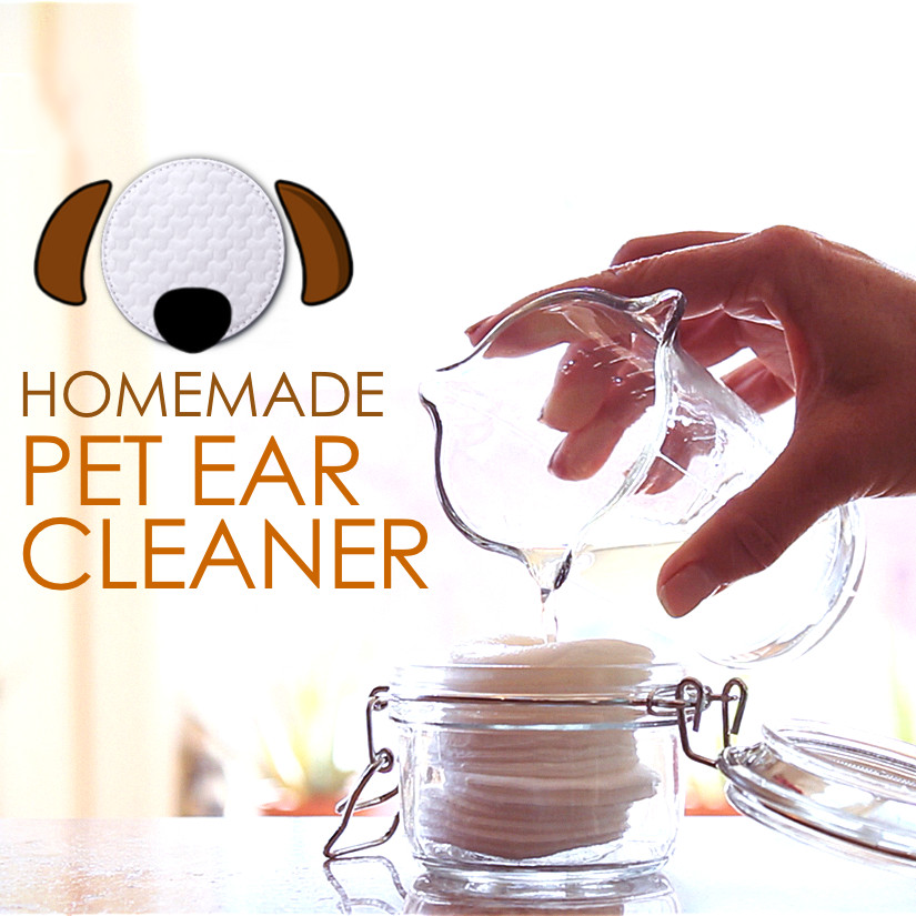 DIY Dog Ears
 DIY EAR CLEANER FOR PETS