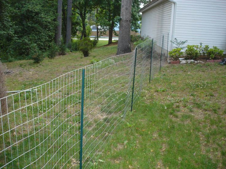 DIY Dog Fence Ideas
 Pin by Chicken Coop Hacks on Cheap chicken coop ideas