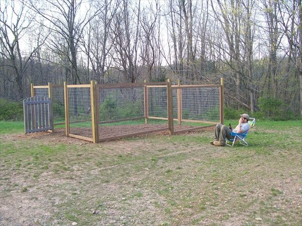 DIY Dog Fence Ideas
 10 DIY Cheap Garden Fencing Projects