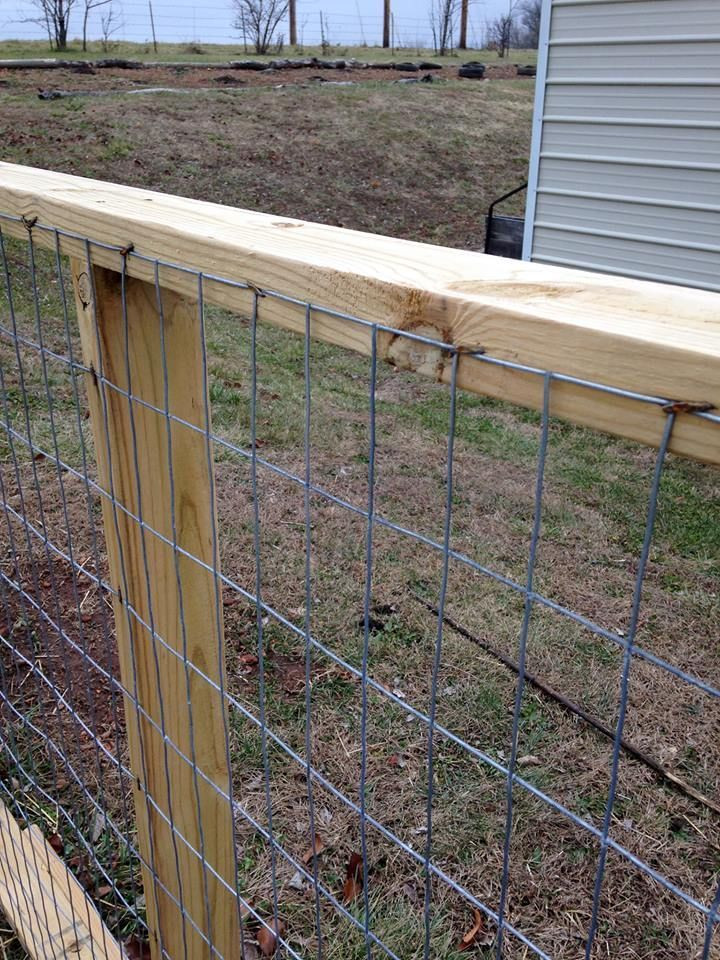 DIY Dog Fence Ideas
 Goat fencing